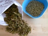 Moje doświadczenie z CBD herbatą z konopi