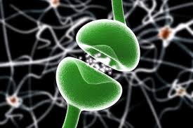 cbd system